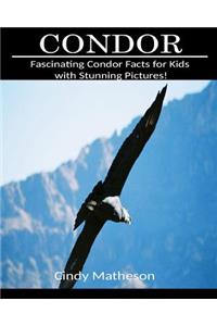 Condor: Fascinating Condor Facts for Kids with Stunning Pictures!