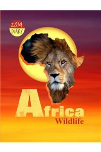 Africa Wildlife