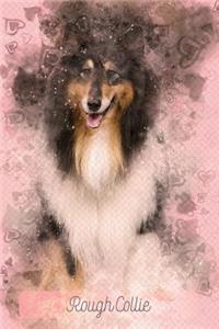 Rough Collie