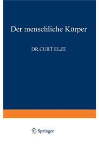 Der Menschliche Körper