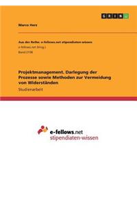 Projektmanagement. Darlegung der Prozesse sowie Methoden zur Vermeidung von Widerständen