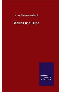 Weizen und Tulpe