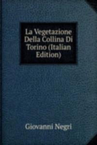 La Vegetazione Della Collina Di Torino (Italian Edition)