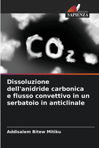 Dissoluzione dell'anidride carbonica e flusso convettivo in un serbatoio in anticlinale