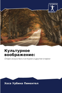 Культурное воображение