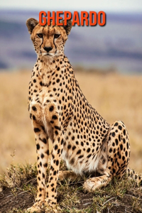 Ghepardo