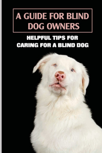 A Guide For Blind Dog Owners