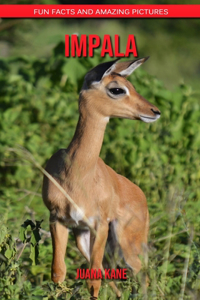 Impala