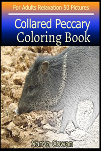 Collared Peccary Coloring Book For Adults Relaxation 50 pictures