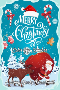 Merry Christmas Color By Number Coloring Books For Adults