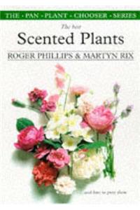 Best Scented Plants