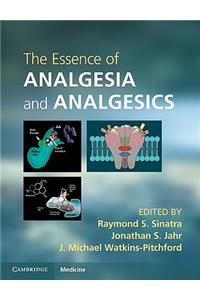 Essence of Analgesia and Analgesics