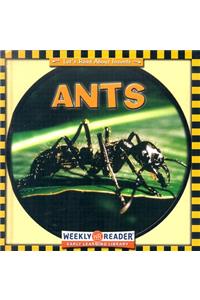 Ants