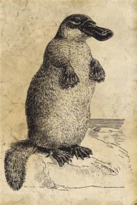 Platypus Journal