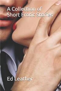 A Collection of Short Erotic Stories
