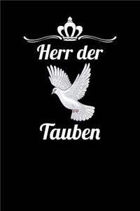 Herr der Tauben