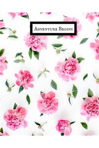 Adventure Begins