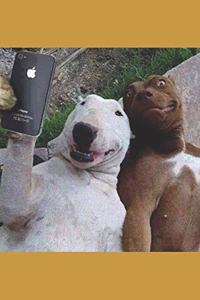 Humorous