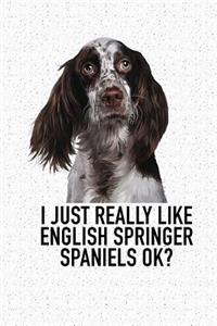 I Just Really Like English Springer Spaniels Ok?