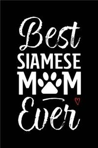 Best Siamese Mom Ever