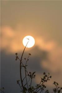 A Dragonfly In the Sun Journal