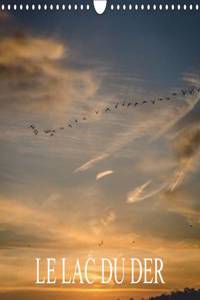 Le Lac du der 2017