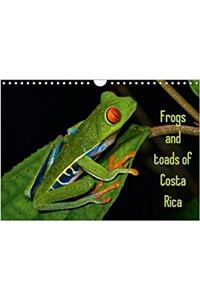 Frogs and Toads of Costa Rica / UK-Version 2018