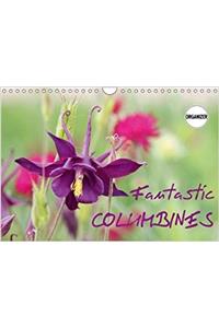 Fantastic Columbines 2018