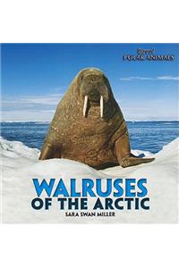 Walruses of the Arctic