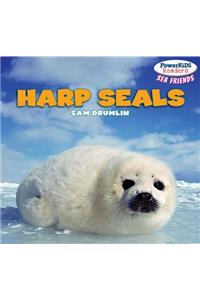 Harp Seals