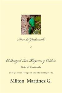 Aves de Guatemala
