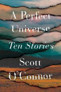 A Perfect Universe