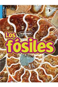 Fósiles