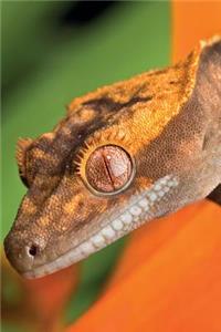 Gecko Notebook & Journal. Productivity Work Planner & Idea Notepad