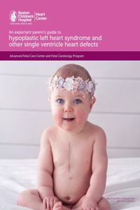 An expectant parent's guide to hypoplastic left heart syndrome and other single ventricle heart defects