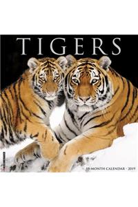 Tigers 2019 Wall Calendar
