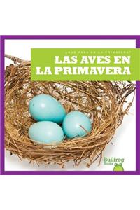 Las Aves En La Primavera (Birds in Spring)