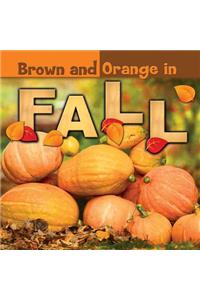 Brown and Orange in Fall