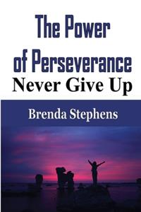 Power of Perseverance