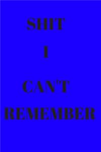 Shit I Can't Remember