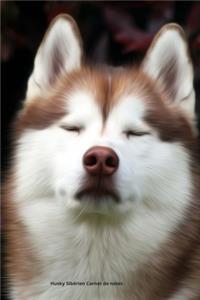 Husky Sibérien Carnet de notes