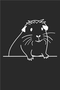 Süßes Meerschweinchen