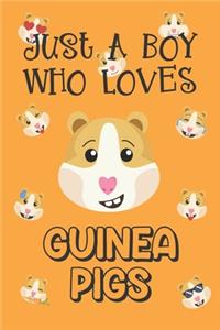 Just A Boy Who Loves Guinea Pigs