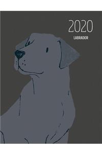 2020 Labrador