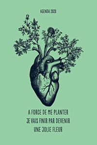 A force de me planter je vais finir par devenir une jolie fleur