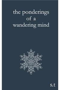 The Ponderings of a Wandering Mind