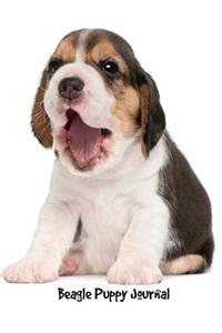 Beagle Puppy Journal