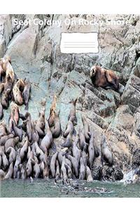Seals On Rocky Shore wideruledlinepaper Composition Book