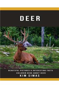 Deer