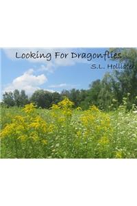 Looking For Dragonflies